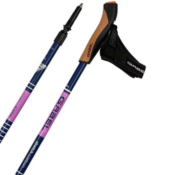 Gabel Stretch Carbon lilac DAS303987 фото